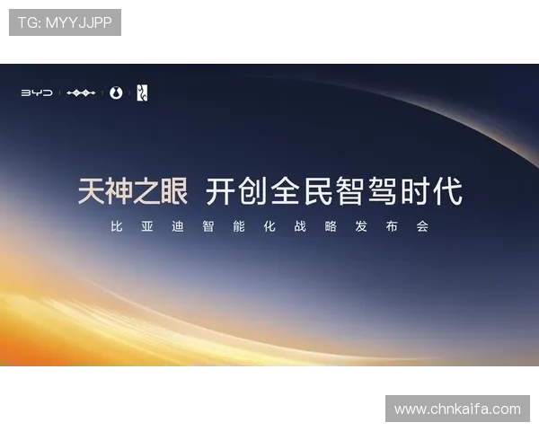 k8凯发官网合作伙伴介绍拓展更多优质资源与合作机会